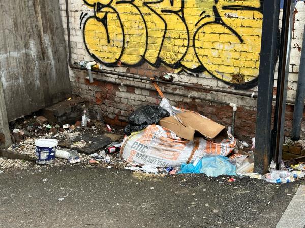 This area is constantly used for fly tipping and people dumping rubbish. Is there not a way to prevent this permanently? A solid gate would help. -9-10 Railway Station Bridge, Woodgrange Road, Forest Gate, London, E7 0NF