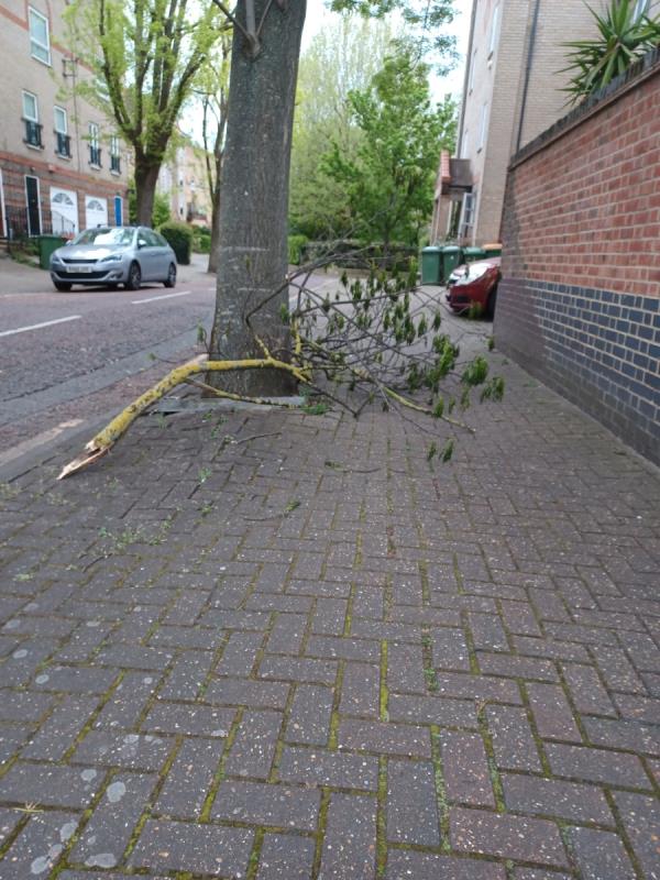 Can the council arrange for Gristwood&Tom's  to collect  this  tree  branch opposite  1 Viscount Drive Beckton. Thanks -46 Nightingale Way, Beckton, London, E6 5JR