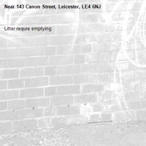 Litter requre emptying -143 Canon Street, Leicester, LE4 6NJ